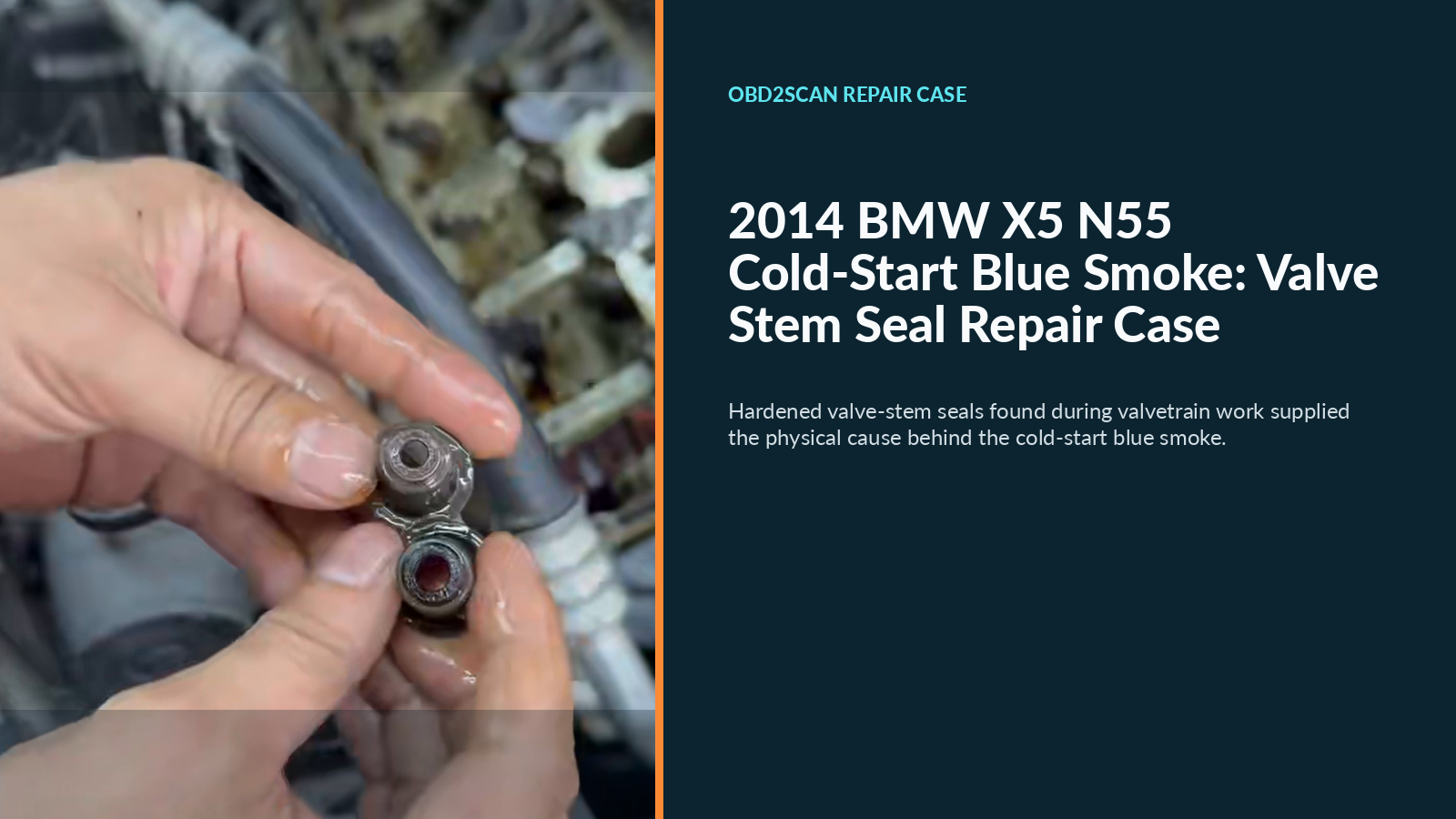 2014 BMW X5 N55 Cold-Start Blue Smoke: Valve Stem Seal Repair Case