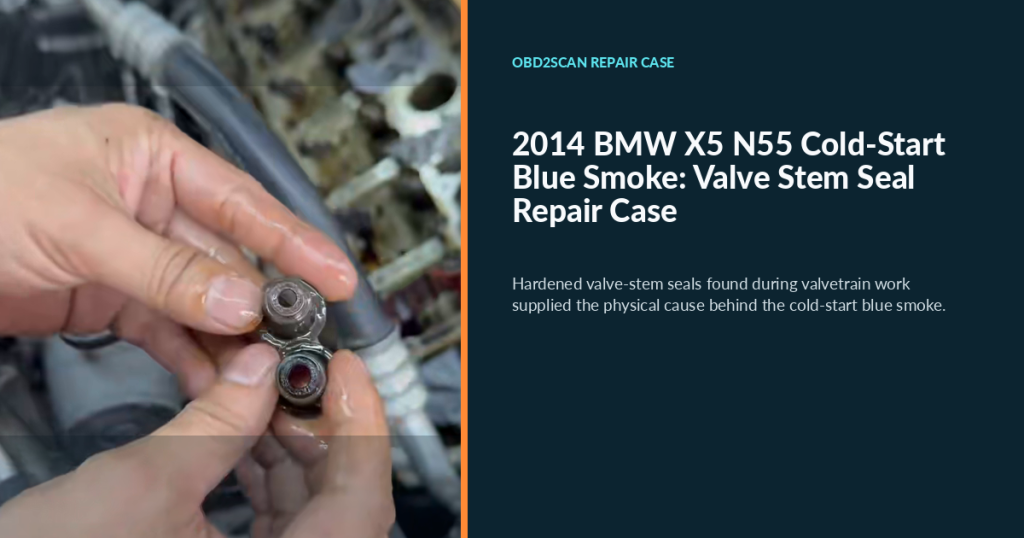 2014 BMW X5 N55 Cold-Start Blue Smoke: Valve Stem Seal Repair Case