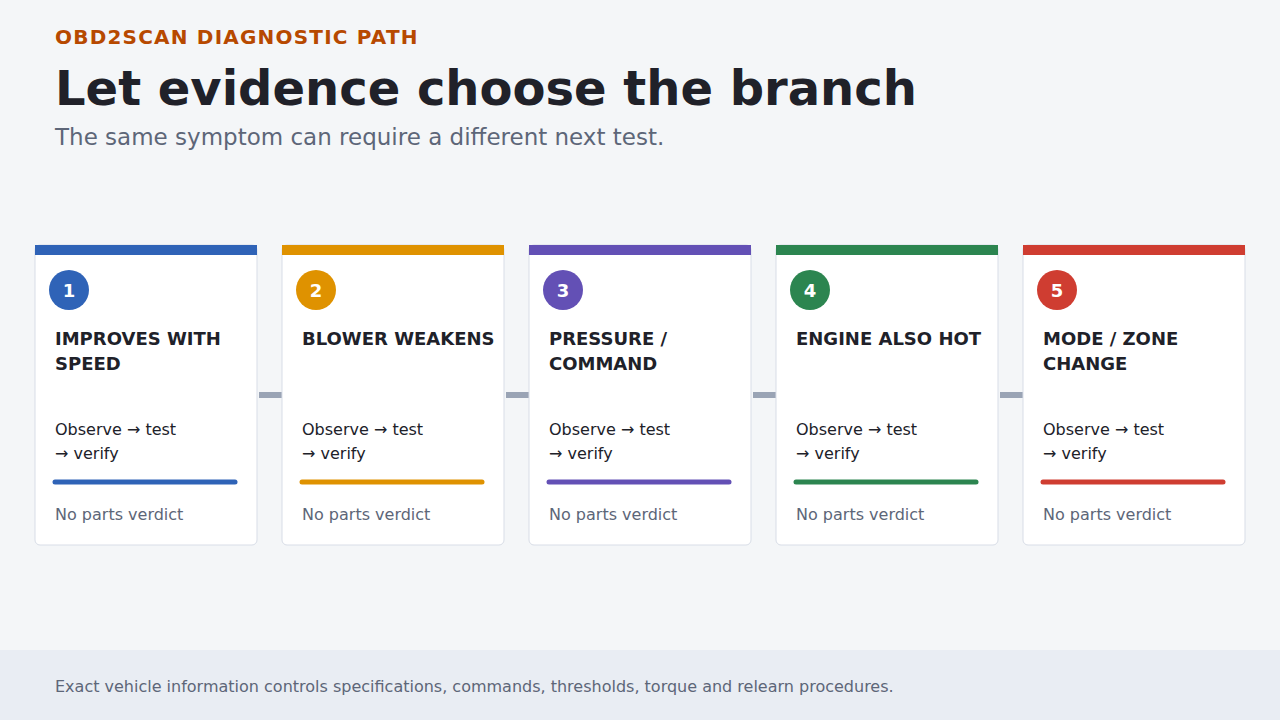 Five evidence branches used to choose the next diagnostic test