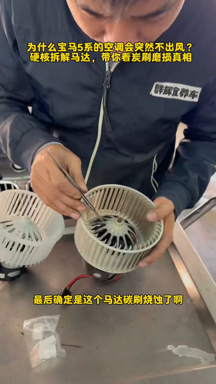Two blower assemblies are shown together