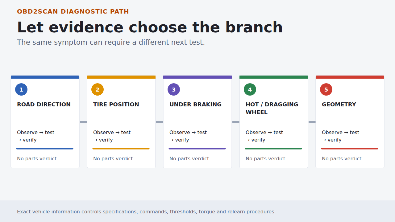 Five evidence branches used to choose the next diagnostic test