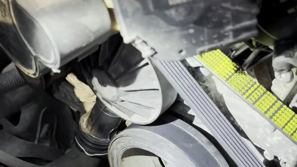 Coolant trail visible around the belt drive and water-pump area of an engine.