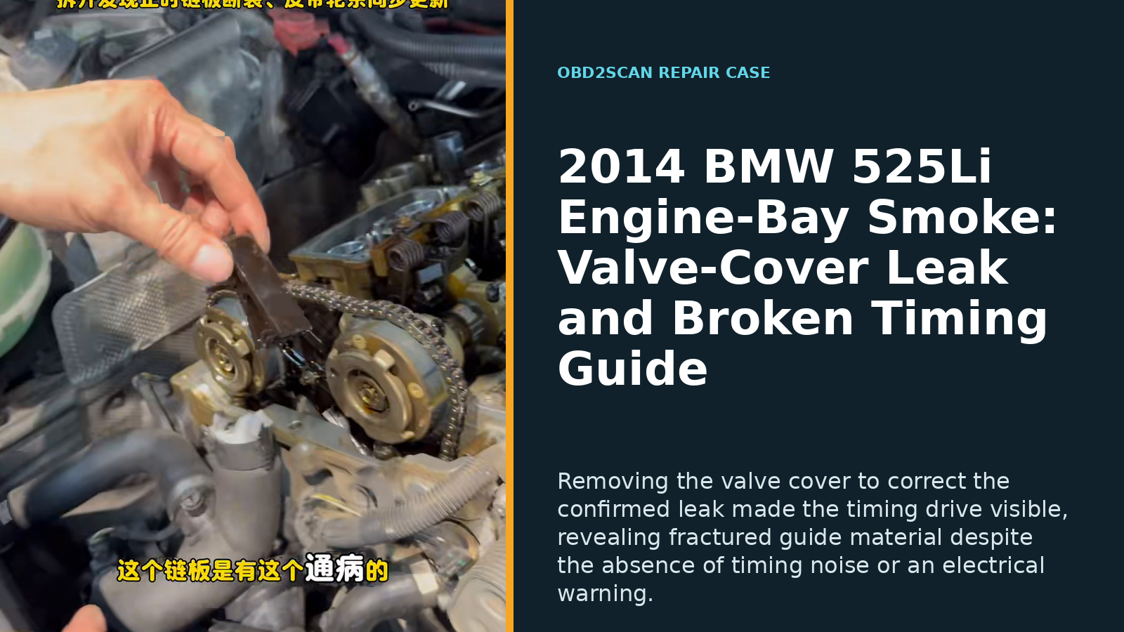 2014 BMW 525Li Engine-Bay Smoke: Valve-Cover Leak and Broken Timing Guide