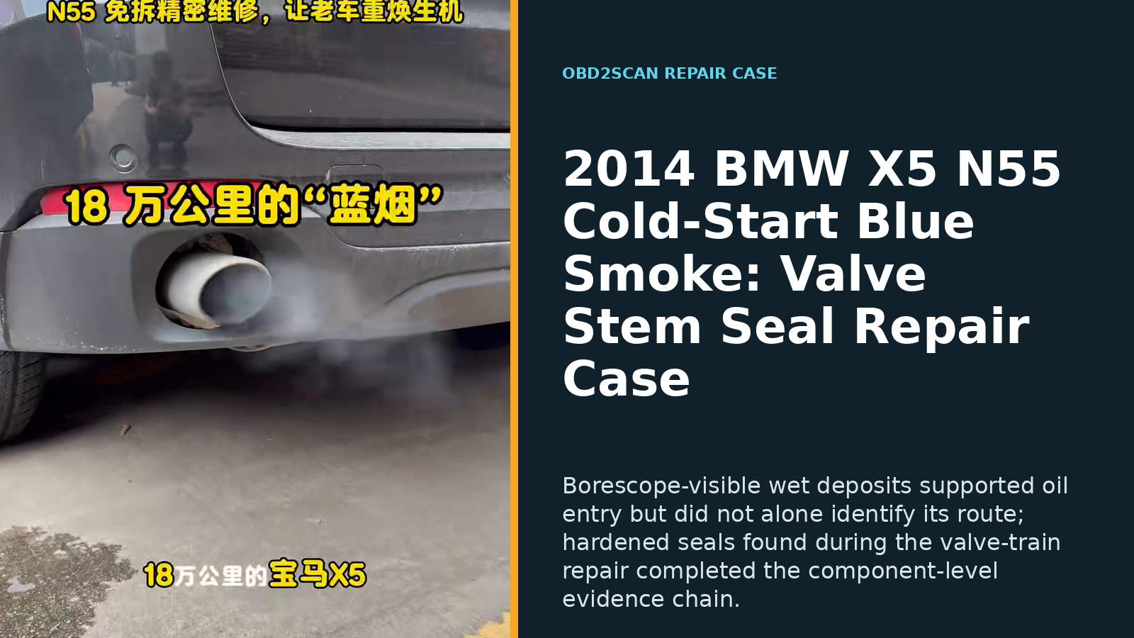 2014 BMW X5 N55 Cold-Start Blue Smoke: Valve Stem Seal Repair Case