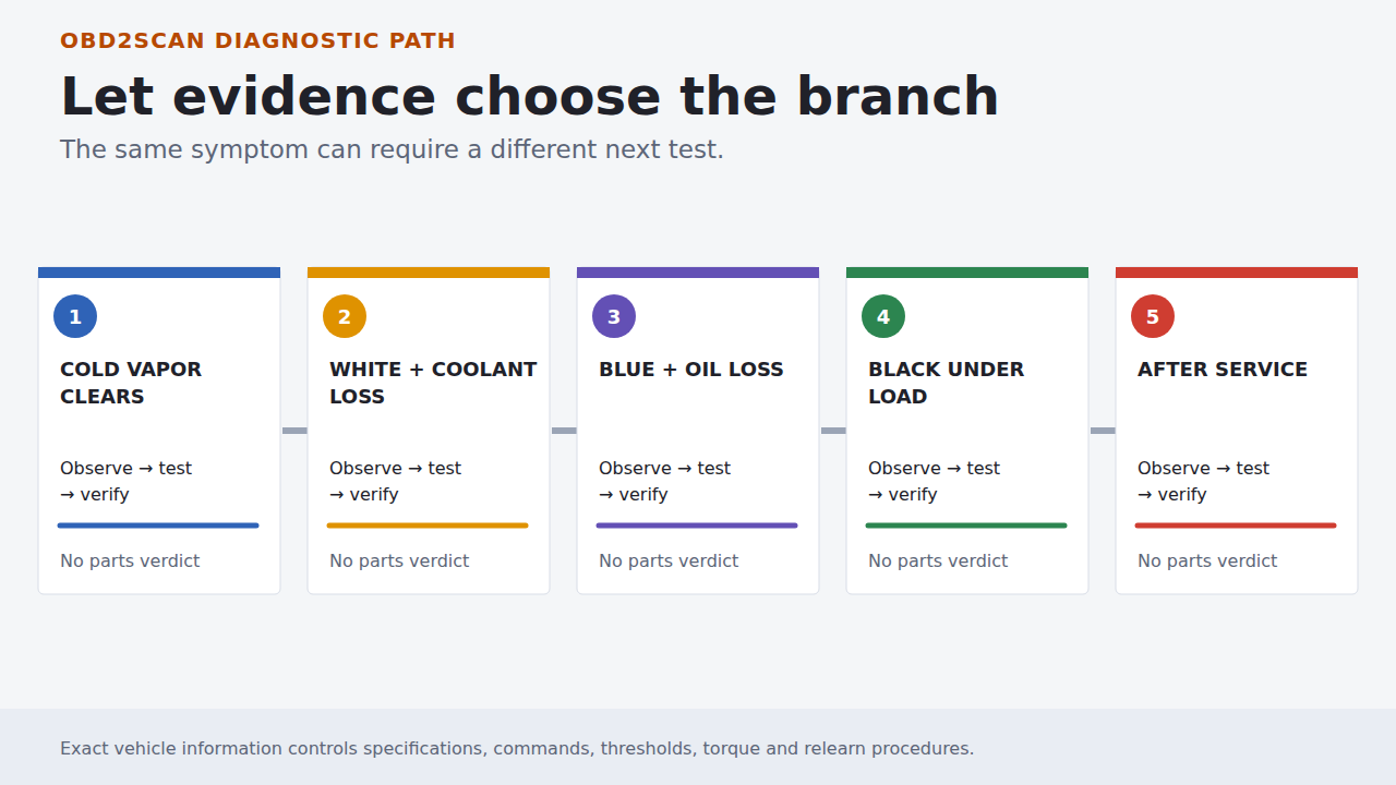 Five evidence branches used to choose the next diagnostic test