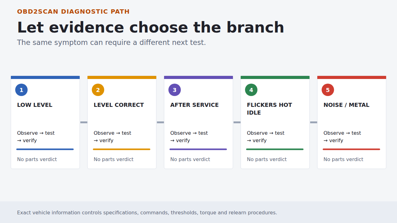 Five evidence branches used to choose the next diagnostic test
