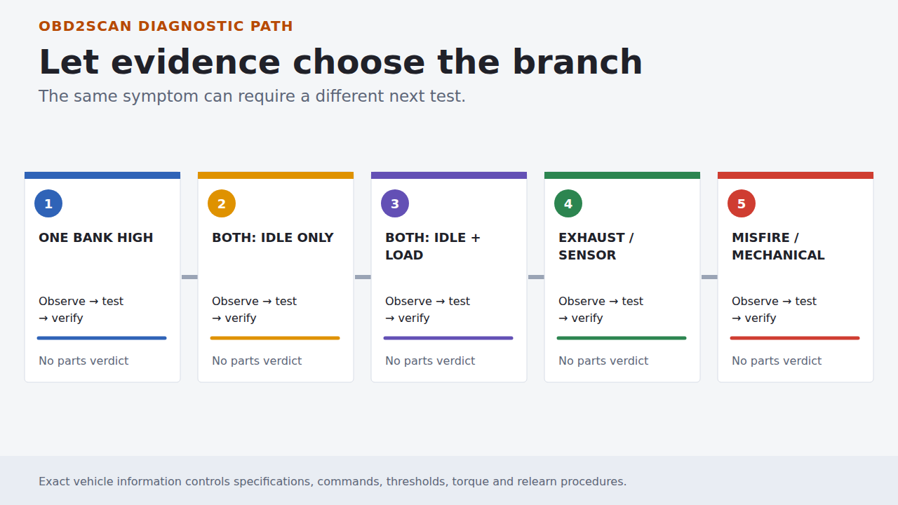 Five evidence branches used to choose the next diagnostic test