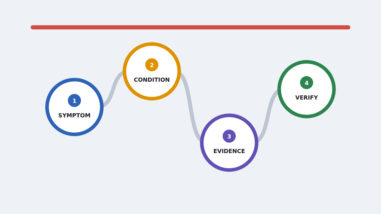 Four-step diagnostic path from symptom and condition to evidence and verification