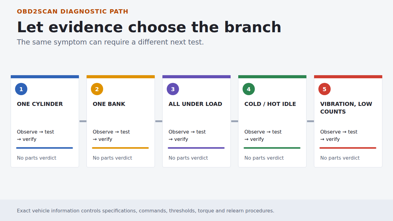Five evidence branches used to choose the next diagnostic test