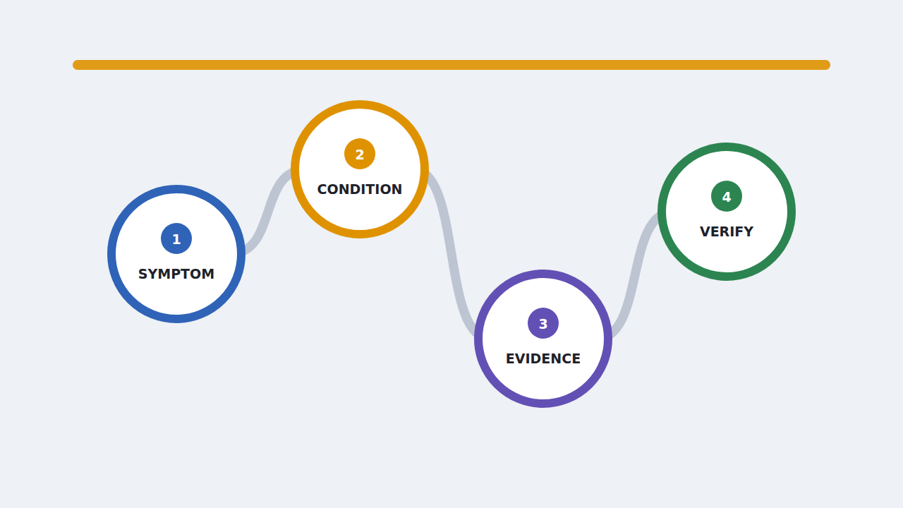 Four-step diagnostic path from symptom and condition to evidence and verification