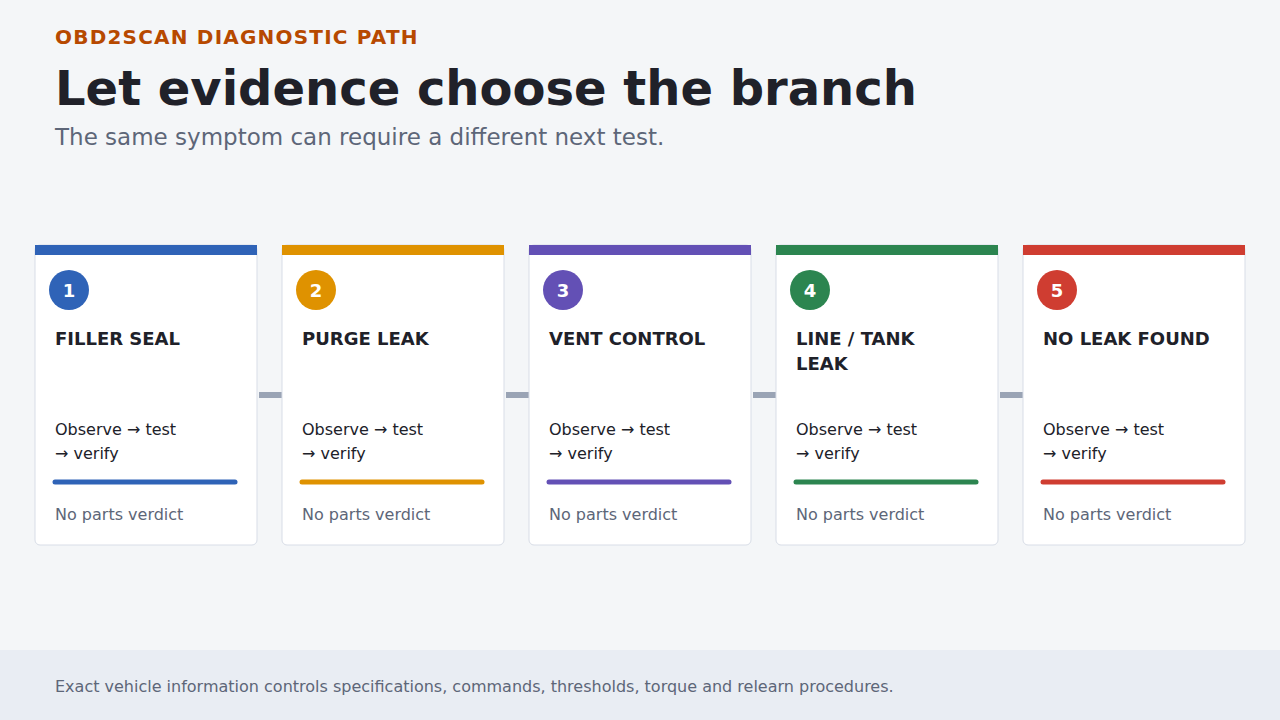 Five evidence branches used to choose the next diagnostic test