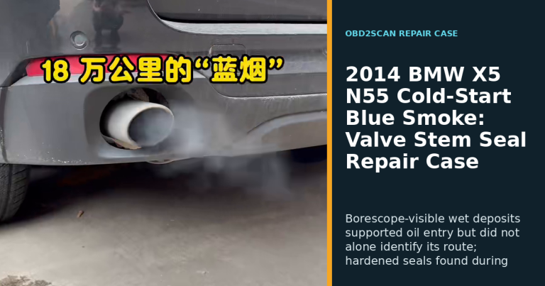 2014 BMW X5 N55 Cold-Start Blue Smoke: Valve Stem Seal Repair Case