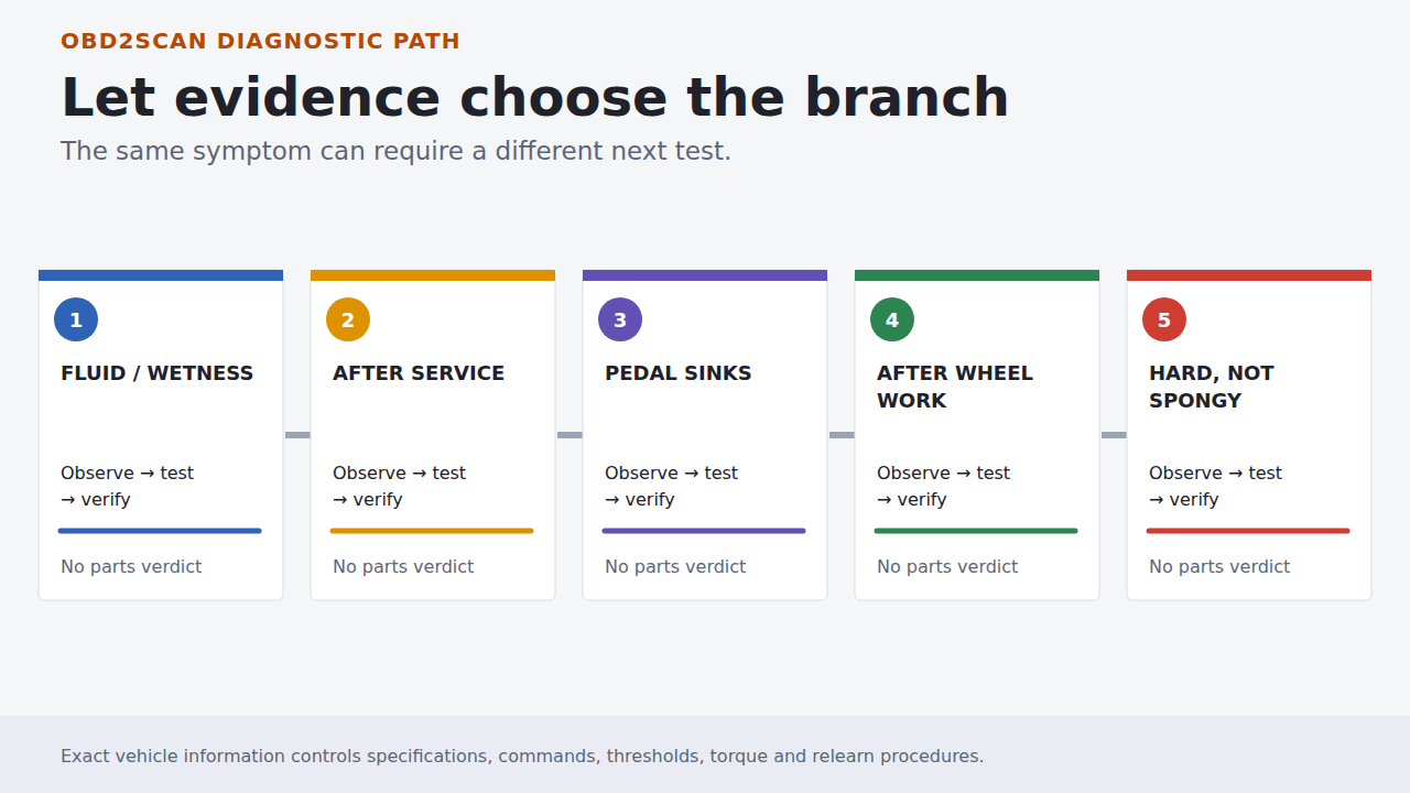 Five evidence branches used to choose the next diagnostic test