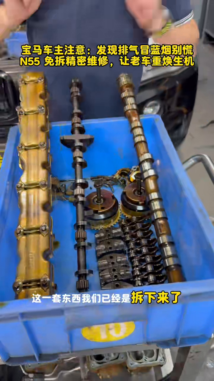 Removed BMW N55 camshafts organized during valve stem seal access.