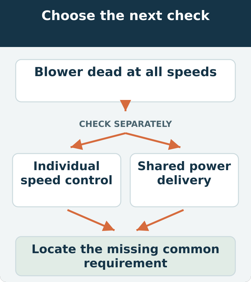 Decision map: blower dead at all speeds; assess individual speed control and shared power delivery. Locate the missing common requirement