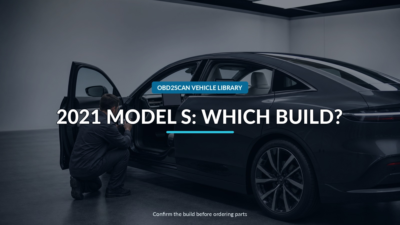 2021 Model S: Which Build? — conceptual vehicle identity-verification scene