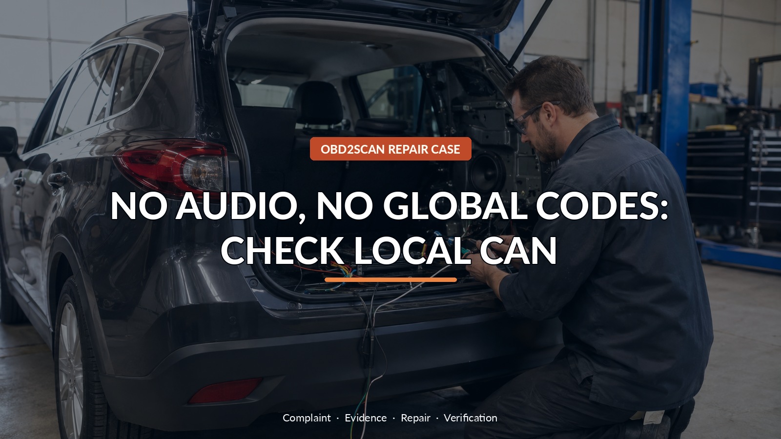 No Audio, No Global Codes: Check Local Can — conceptual diagnostic scene