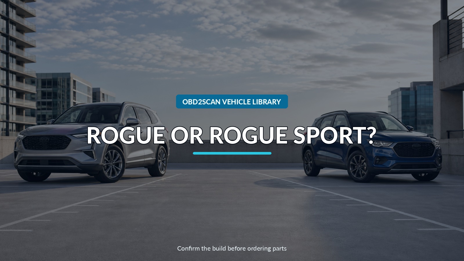 Rogue Or Rogue Sport? — conceptual vehicle identity-verification scene